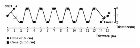 slalom test